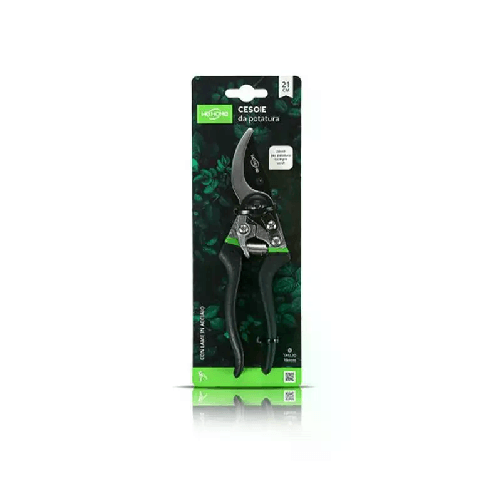 img-71d21926-bdd7-4f26-8c9c-ca751a38b7ac.png
