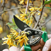 img-c32d7696-199a-4530-9814-9f2c8d8d916a.png