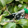img-2e0f9121-2b0c-418a-8ebd-60ef32c1741c.png
