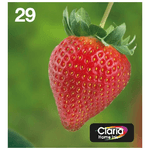 Epson Strawberry Multipack Fragole 4 colori Inchiostri Claria Home 29 in confezione EasyMail Packaging