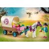 70998-CARROZZA-CON-PONY