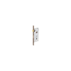 img-d842f0b3-49a3-47fb-8ab5-e7d55d119b03.png