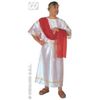 WIDMANN-39442-costume-giulio-cesare-romano-m
