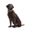 img-b68243bf-ab11-4466-9f21-3b4225b4c6fb.png