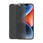 PanzerGlass-Ultra-Wide-Fit-Privacy-Appl-Pellicola-proteggischermo-trasparente-Apple-1-pz