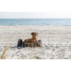 img-f6c9682e-7c65-4394-abf5-2d73afedc87a.png