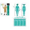 img-ebf2300e-86ca-4fe3-b121-f1484d171ab2.png