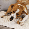 img-ec7c2998-f147-4312-aa51-9b746b900578.png