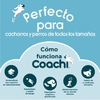 img-c9d2ef14-2557-49d7-9e6e-720415a9daad.png