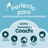 img-951a1209-cf90-45cb-a59c-f7f48d8e8842.png