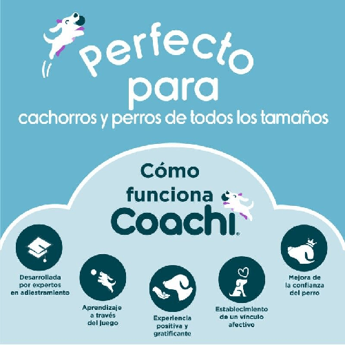 img-951a1209-cf90-45cb-a59c-f7f48d8e8842.png