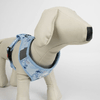 img-db2155c5-1203-4a0c-8776-e24525e2459d.png