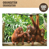 img-6db0761d-9d50-49b3-a4e1-f94e2ad3ce1a.png
