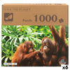 img-216d8b16-3837-437f-bedf-8604f0f3e3cd.png