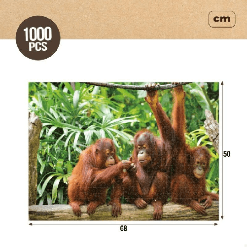 img-2117a5d0-c18b-46b7-b856-f0a58fa1f9b6.png