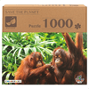 img-7a32e418-5836-4c9b-978f-2c81babac930.png