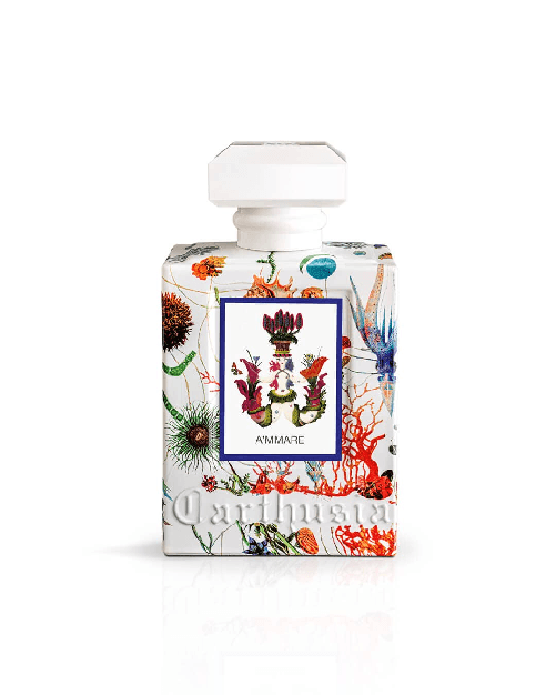 img-902cc4c5-0318-456d-a88a-fbd1b4ef7b49.png