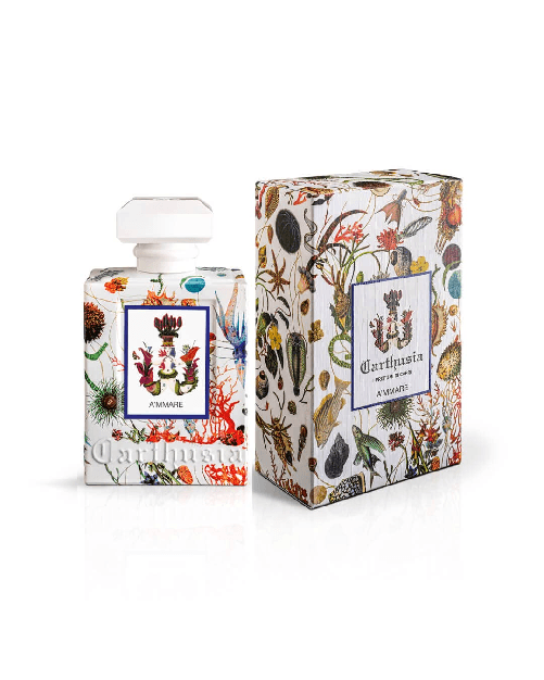 img-867d5ceb-9ae7-4e1b-adf0-f8f80c31750b.png