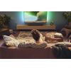 Soundbar-Philips-TAB5109-10-2.0-Black