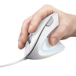 Trust-Verto-Mouse-Mano-Destra-USB-Tipo-A-Ottico-1600-DPI