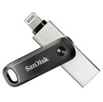 SanDisk-SDIX60N-256G-GN6NE-unita--flash-USB-256-GB-3.2-Gen-1--3.1-Gen-1--Grigio-Argento