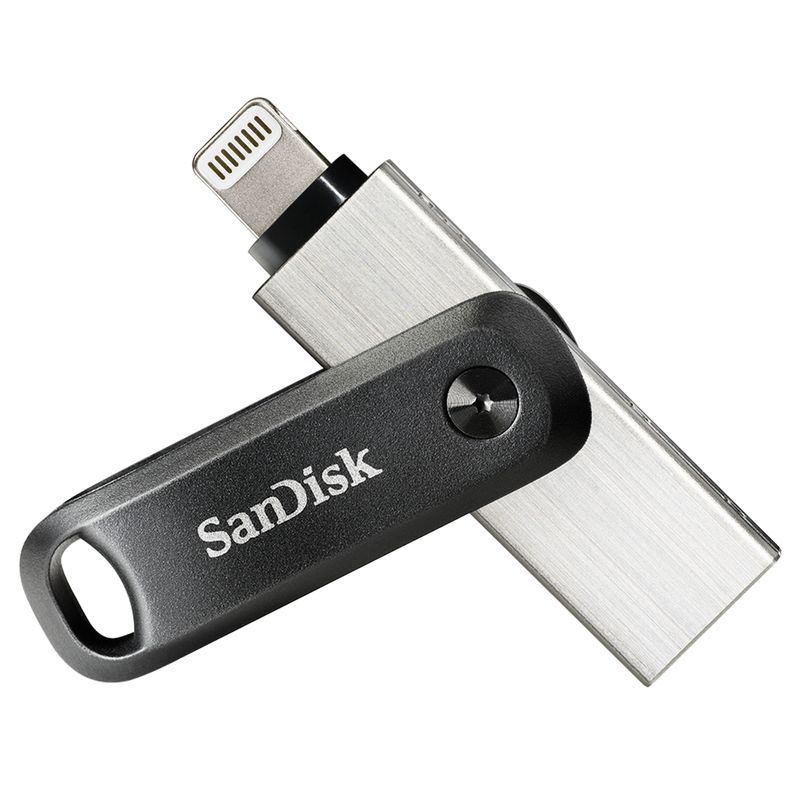 SanDisk-SDIX60N-256G-GN6NE-unita--flash-USB-256-GB-3.2-Gen-1--3.1-Gen-1--Grigio-Argento