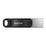 SanDisk-SDIX60N-256G-GN6NE-unita--flash-USB-256-GB-3.2-Gen-1--3.1-Gen-1--Grigio-Argento