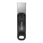 SanDisk-SDIX60N-256G-GN6NE-unita--flash-USB-256-GB-3.2-Gen-1--3.1-Gen-1--Grigio-Argento