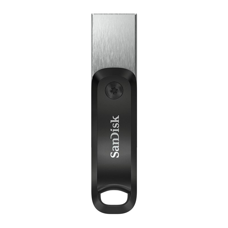 SanDisk-SDIX60N-256G-GN6NE-unita--flash-USB-256-GB-3.2-Gen-1--3.1-Gen-1--Grigio-Argento