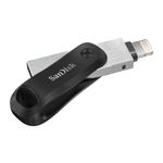 SanDisk-SDIX60N-256G-GN6NE-unita--flash-USB-256-GB-3.2-Gen-1--3.1-Gen-1--Grigio-Argento