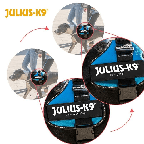 img-2af6ab16-a2d2-4aaa-bec4-b383ce765939.png
