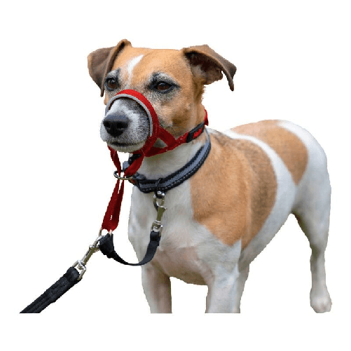 img-beda161e-50a3-411c-9be2-e63f35a3246f.png