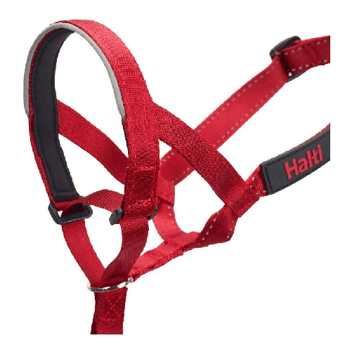 img-f7edec34-d0d5-4d4c-8f1f-d41a0929f9c8.png