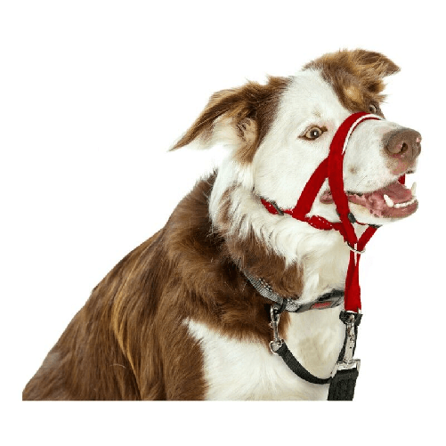 img-50c75938-5bfa-49e3-b0a2-4175543bc7dd.png