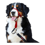img-ea6d9c83-6266-4f81-89ea-51c6590f1c01.png