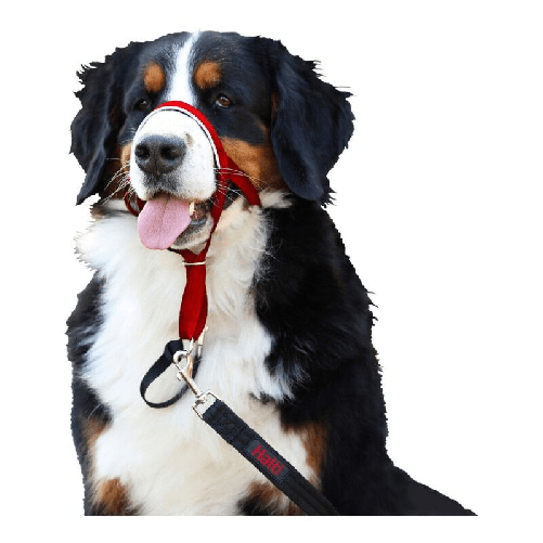 img-ea6d9c83-6266-4f81-89ea-51c6590f1c01.png