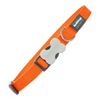 img-428965f7-cb48-4cac-87c8-06b7c1a3a3db.png