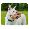 img-44f9d36e-47dd-4fb1-890c-03033b13d785.png