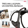 img-3cadf4a4-3bd3-47d6-941c-2e17189c6919.png