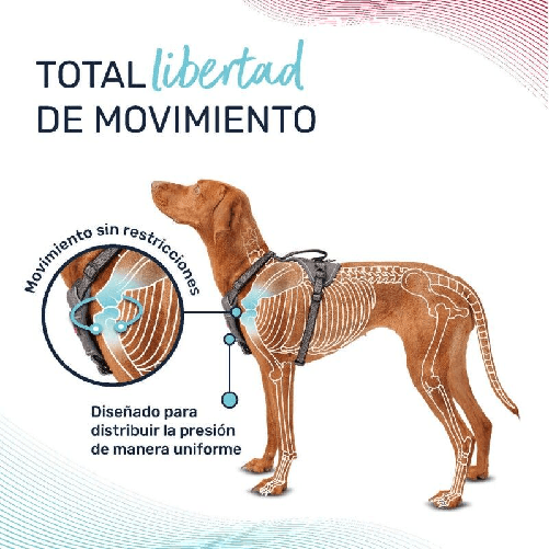 img-cad8cac0-84d8-4432-af0b-30f666232864.png