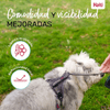 img-b0400b1b-d636-4d4a-8ad8-09e56807c2d4.png