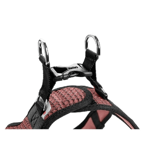 img-256527a8-3050-46f9-ad92-17e6e0a97b25.png