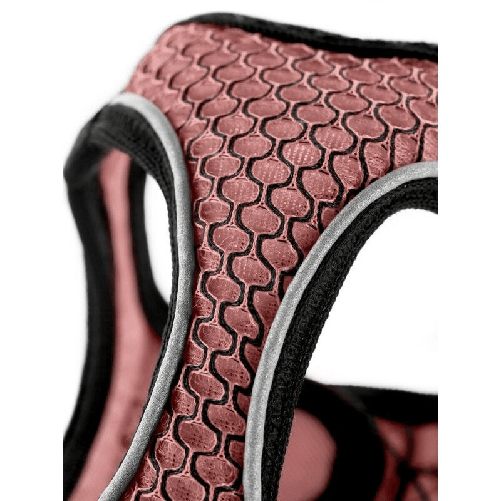 img-dd4276ea-1d0b-4bbf-ae9b-ec10cbd8fcdd.png
