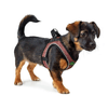 img-a78162df-3eca-4f7f-a9be-aa52750f1068.png