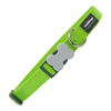 img-c56107ad-ec28-4c78-b93d-1522dcb29af7.png