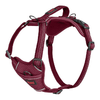 img-295ee796-a1ca-4ff7-8d25-1959dab6ce6f.png