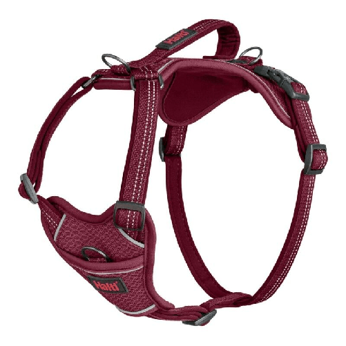 img-295ee796-a1ca-4ff7-8d25-1959dab6ce6f.png