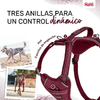 img-34108342-439a-4034-a4dc-8b6cdfbac32f.png