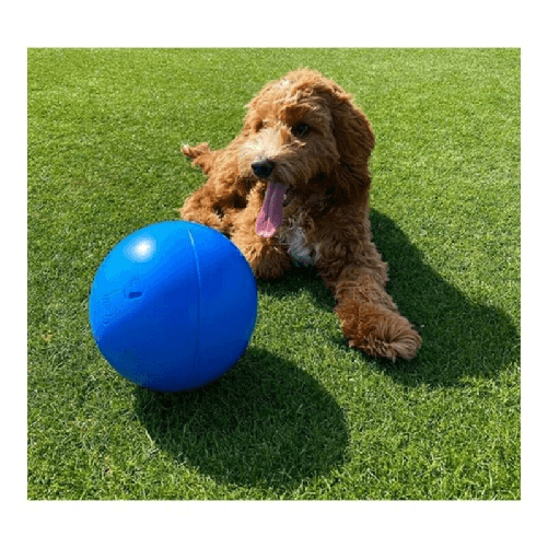 img-95118088-36fb-4dbc-ae70-2c1a5e9eb244.png