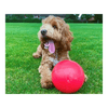 img-0b265eb5-2ae8-4083-afd2-3984e13c974d.png